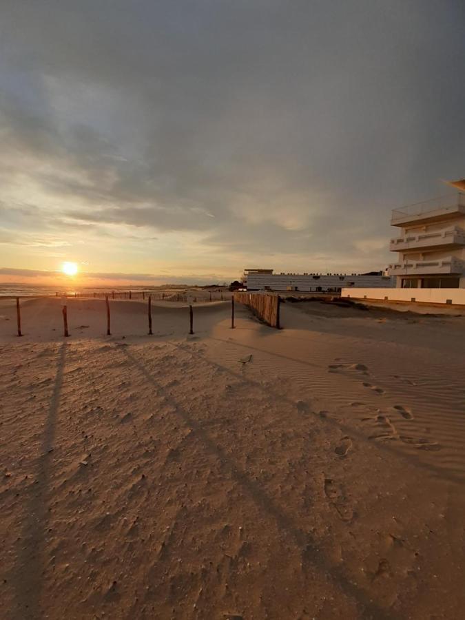 T2-3 Cabine Les Yuccas 200 M Plage Du Boucanet Rive Droite Grau Du Roi Ideal 2-4 Pers 르그로뒤후아 외부 사진